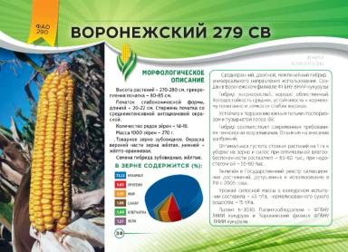 Воронежский 279 СВ