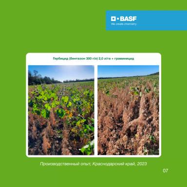 БАЗАГРАН® и другие бентазон-содержащие гербициды на сое: правда и мифы