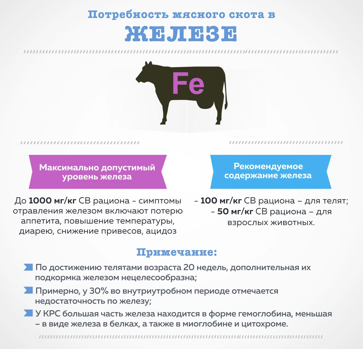 Потребность мясного скота в железе