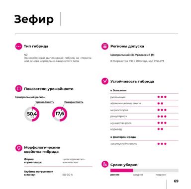Зефир