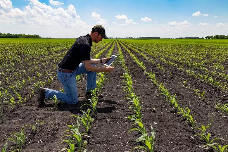 Обзор новостей за 5 июня