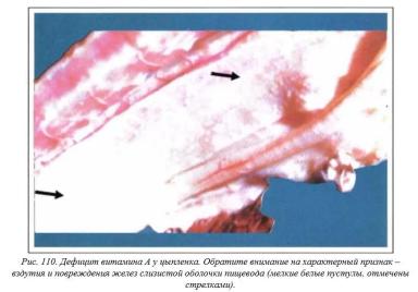 Вегад - Атлас болезней птицы. Ч. 21, 22. Дефициты витаминов А, Е