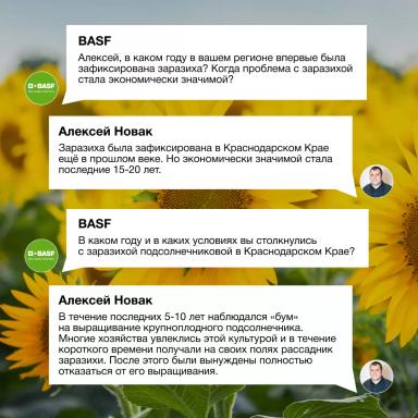 Заразиха в Краснодарском крае