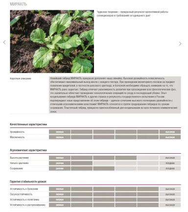 Миракль (MIRAKEL)