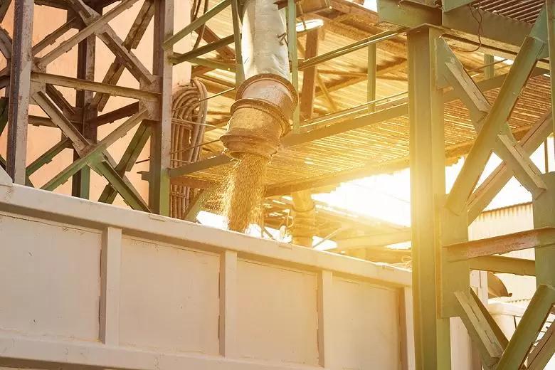 Пошлина на экспорт пшеницы из России с 19 октября вырастет до 2 934,3 руб/т