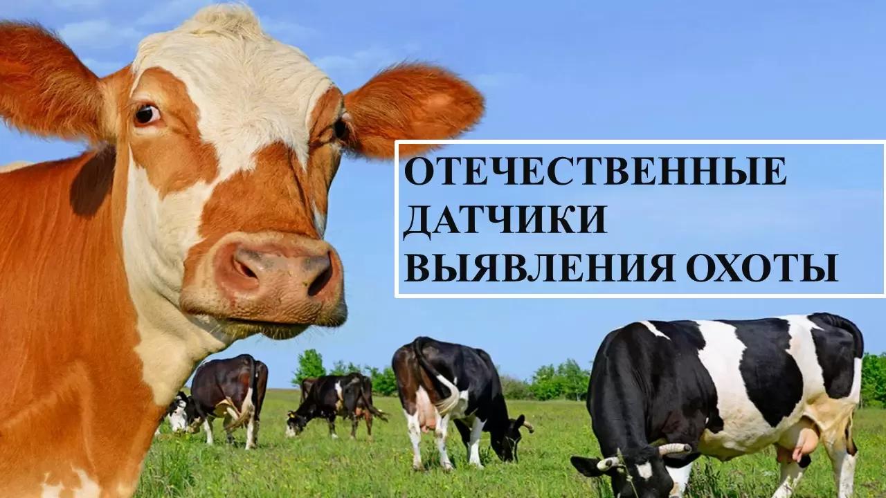 А нужно ли рынку - отечественные датчики выявления охоты?