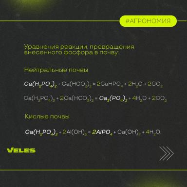ФОРМЫ ФОСФОРА, ЕГО ВЗАИМОДЕЙСТВИЯ С ПОЧВОЙ. ФОСФОРНЫЕ УДОБРЕНИЯ.