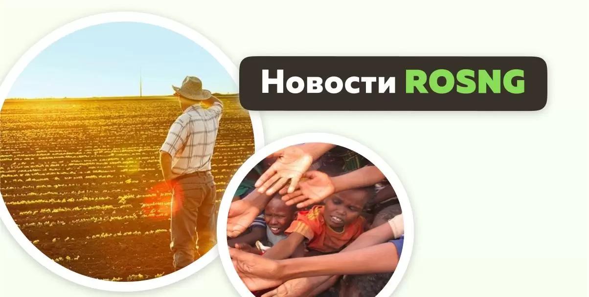 Обзор новостей на 7-8 октября