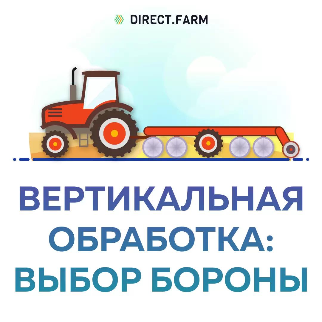 Вертикальная обработка почвы: как выбрать борону?