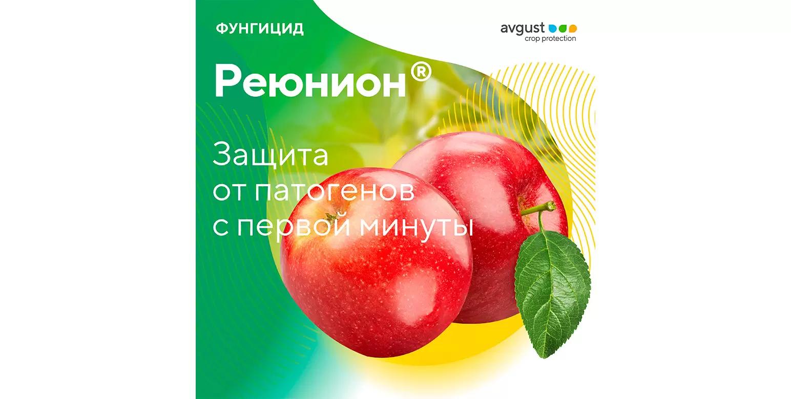 Реюнион® –  новый фунгицид для защиты косточковых и семечковых культур
