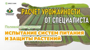Расчёт урожайности от специалиста