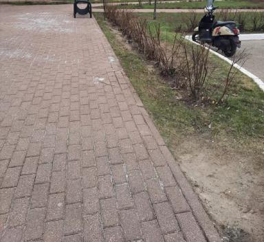 Ремедиация почвы после ПГС (противогололёдных смесей)