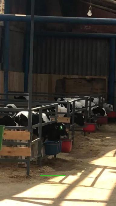 Использование поведенческих инстинктов животных в технологиях содержания