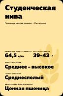 Студенческая нива сорт мягкой озимой пшеницы