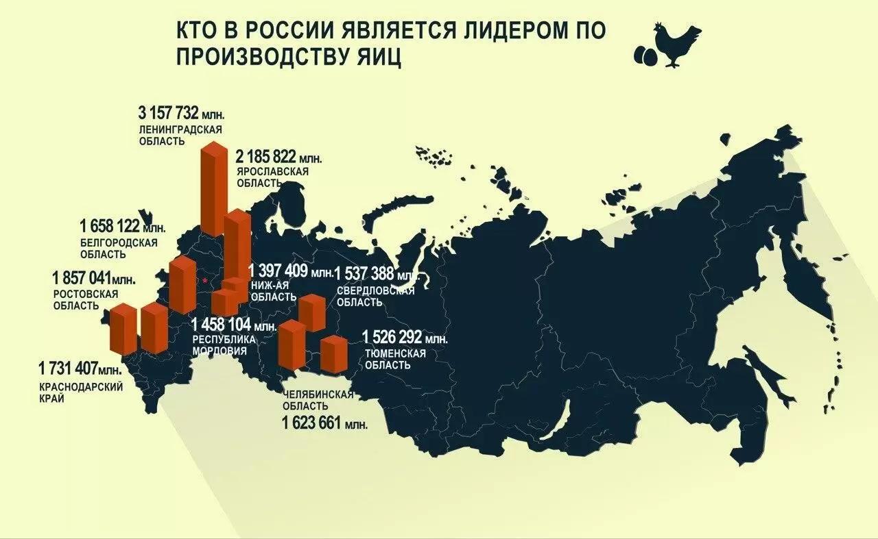 Кто в России является лидером по производству яиц