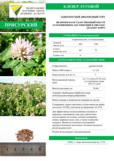 Присурский