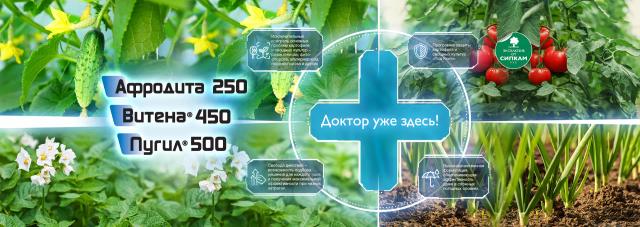 СИПКАМ РУС - ДОКТОР УЖЕ ЗДЕСЬ!