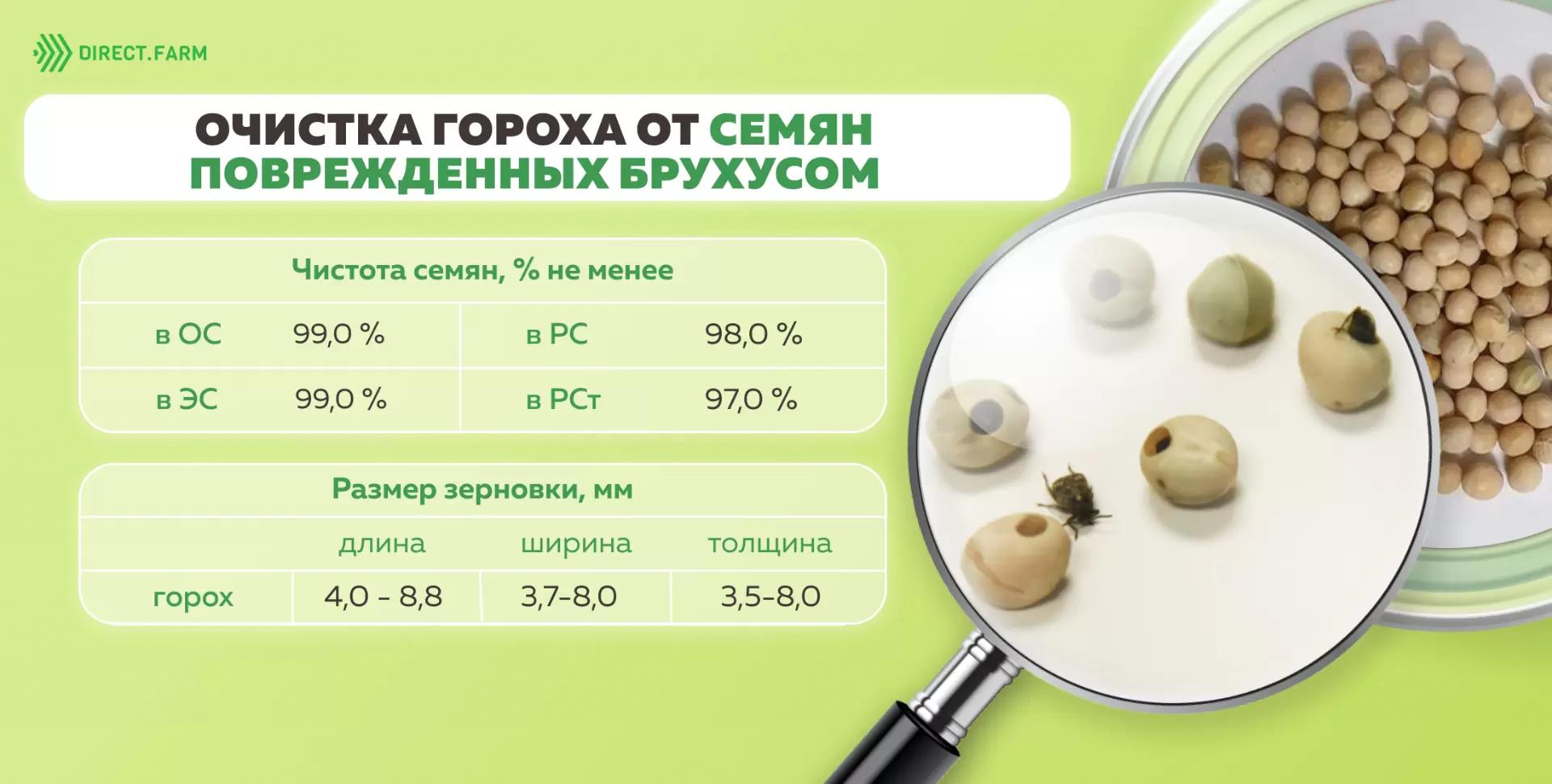 Очистка гороха от изъеденных брухусом семян