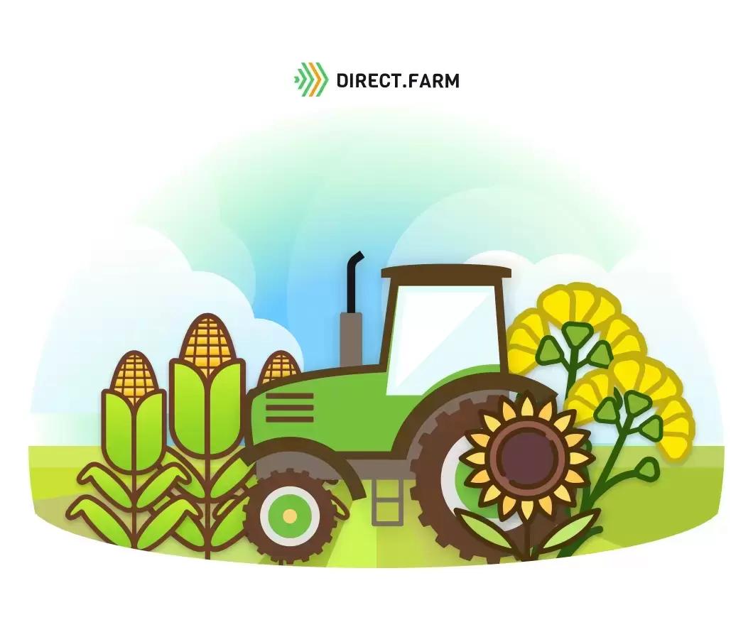 Посев гибридов второго поколения