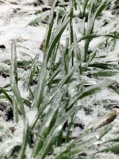 Пережить зиму.