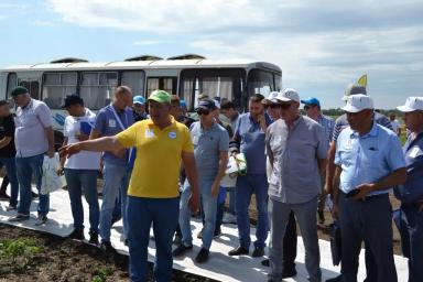 С большим успехом прошел первый День Поля на Агрополигоне «Приволжье».