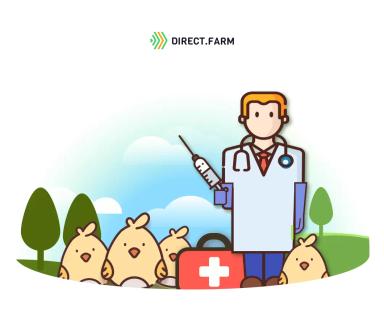 Работа с цыплятами раннего возраста