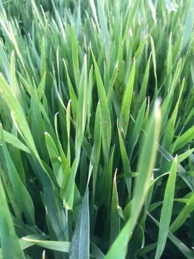 Вопросы из чатов: что за болезнь?