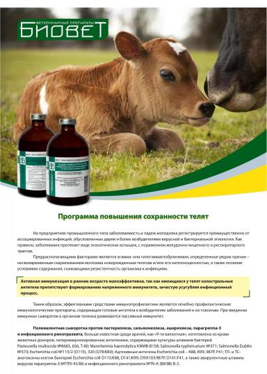 А ты защитил телёнка?