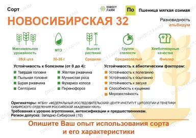 Новосибирская 32