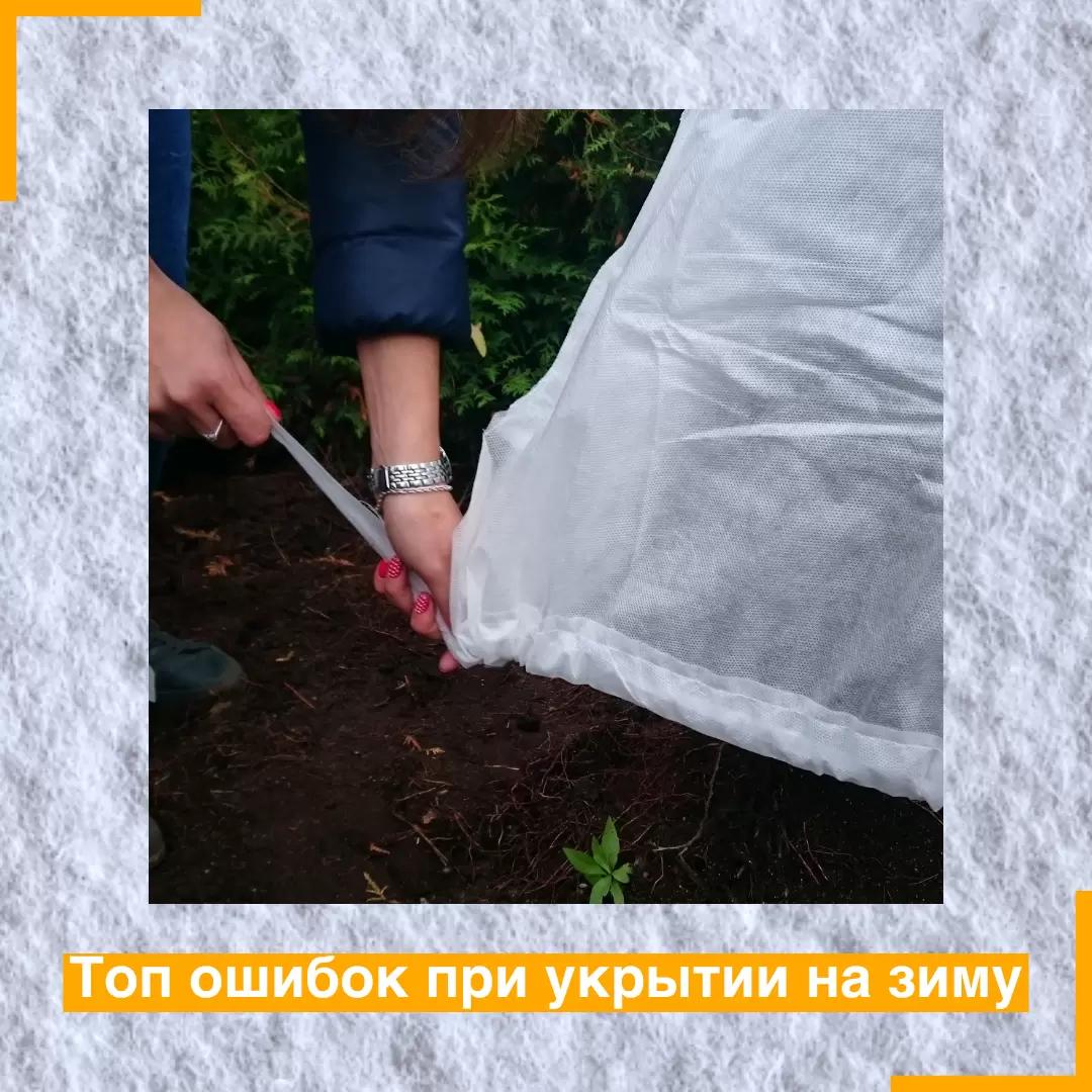 🥶 Зима близко, а значит пора укрывать наших зелёных любимцев! 🌿