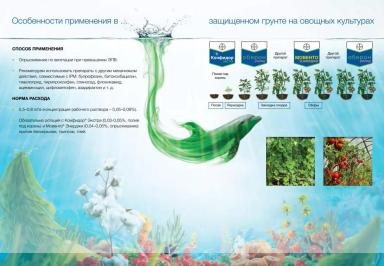 Оберон Рапид – опыт применения инсектоакарицида