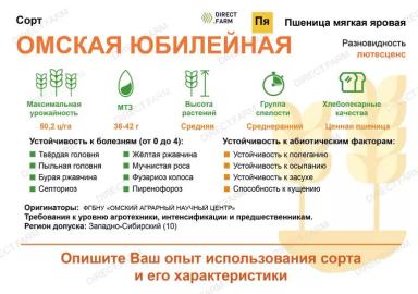 Омская юбилейная ® сорт мягкой яровой пшеницы