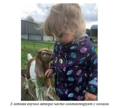 Харвуд – "Ветеринарное руководство по здоровью и благополучию коз". Гл. 19