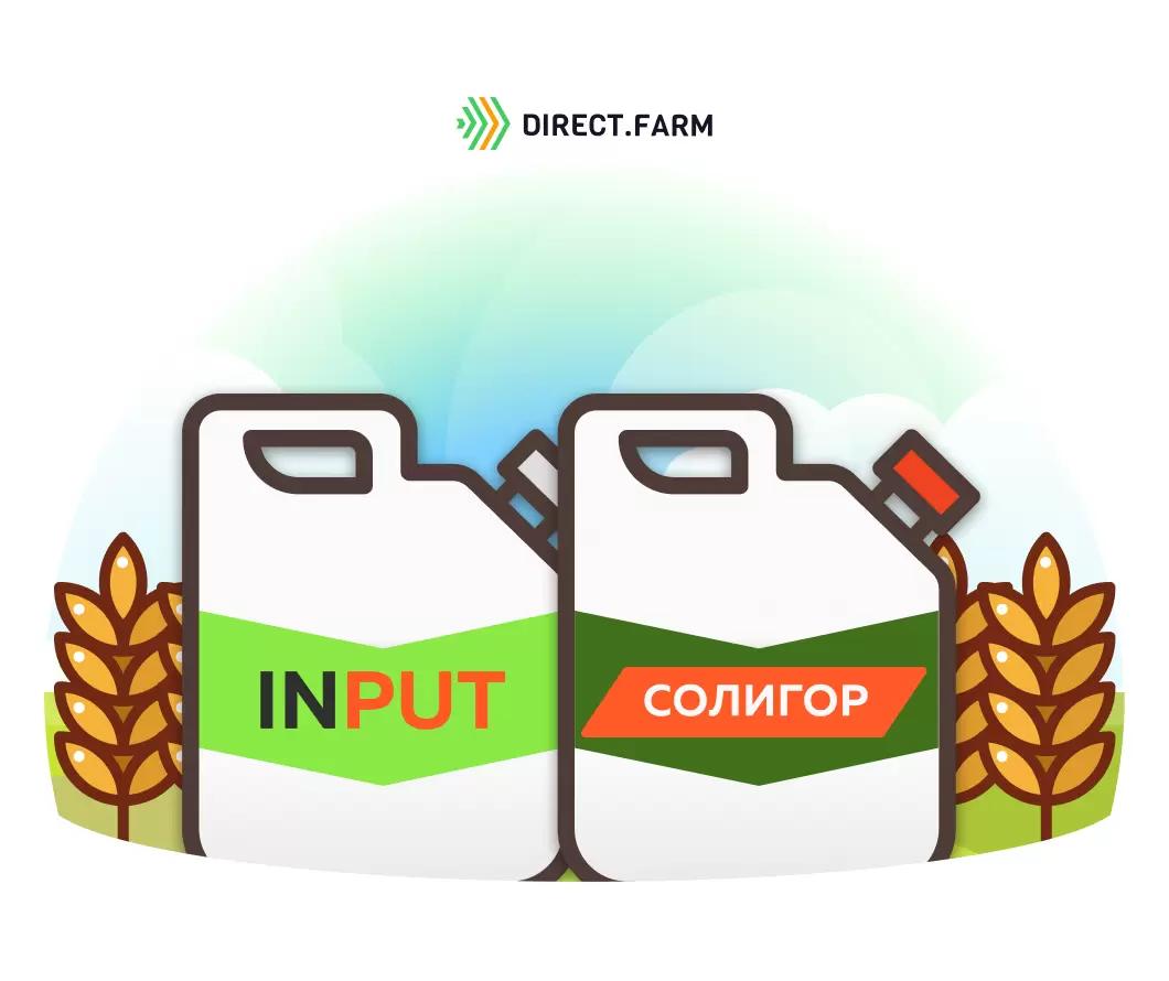 Эффективность протиконазола и тебуконазола в борьбе с прикорневыми гнилями 