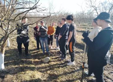 ОТ ТЕОРИИ К ПРАКТИКЕ