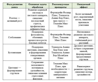Листовые подкормки рапса препаратами «Агритекно»: технология урожайности