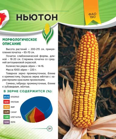 Ньютон
