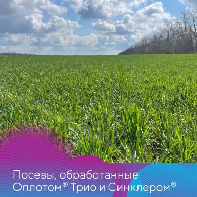 Протравители для зерновых культур для озимого сева