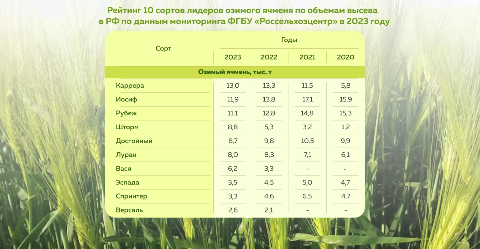 Топ сортов озимого ячменя за 2023 год