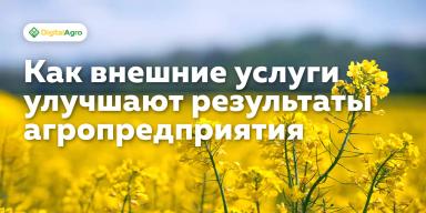 Как внешние услуги могут улучшить результаты агропредприятия