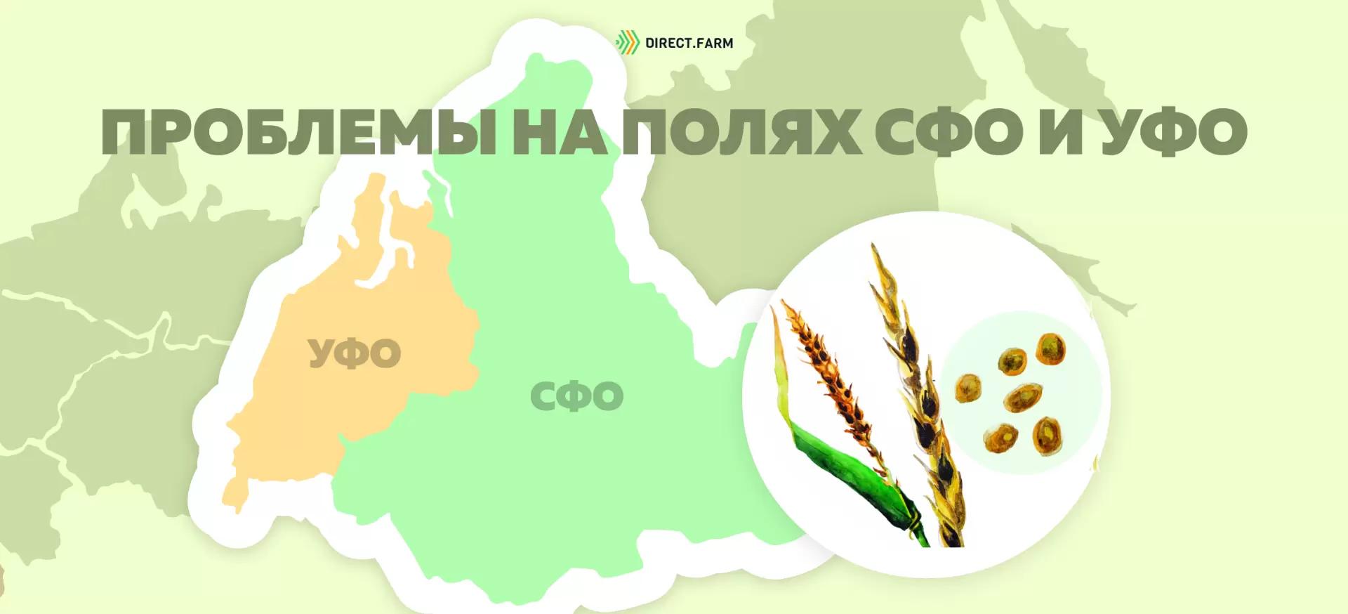 Угроза: Инфекции колоса