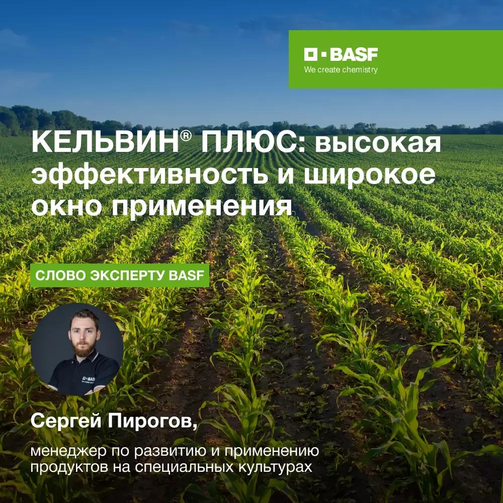 КЕЛЬВИН® ПЛЮС: высокая эффективность и широкое окно применения