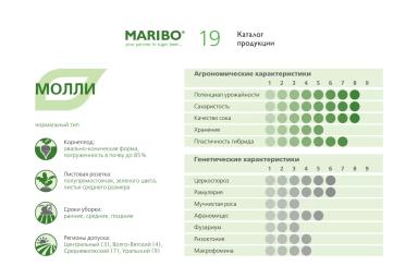 Молли