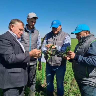 Вести с полей. Ставропольский край