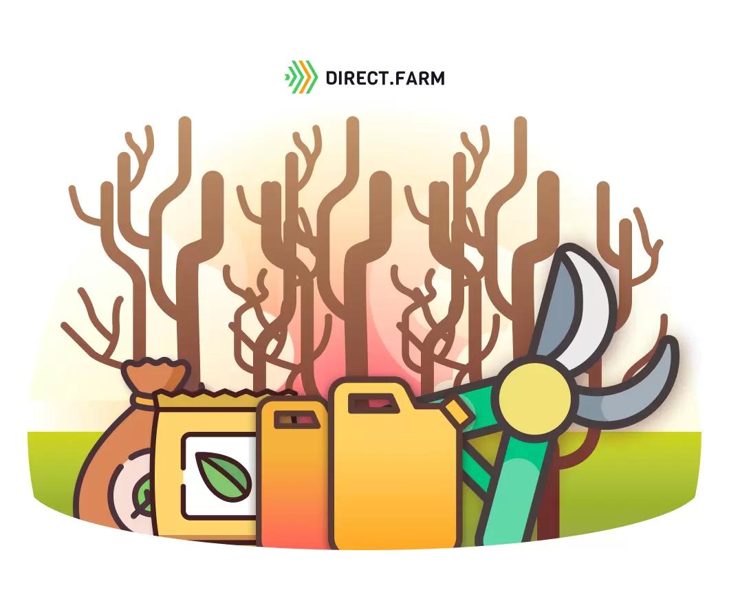 Подготовка плодовых насаждений к периоду покоя