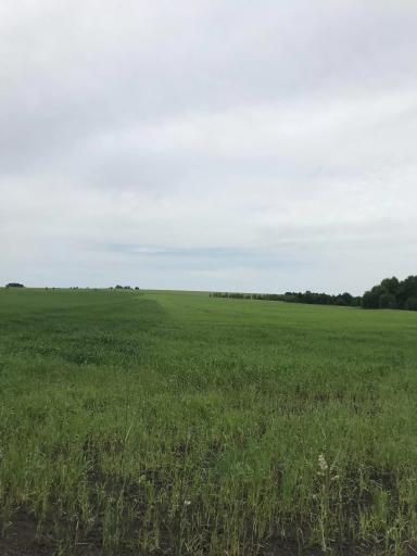 Здравствуйте!Что это может быть?