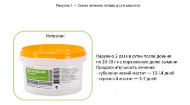 Наружный противомаститный препарат Интрасан — схемы лечения мастита
