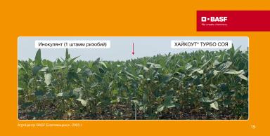 ХАЙКОУТ® ТУРБО СОЯ — турборежим питания и защиты сои