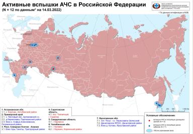 Эпизоотическая ситуация по АЧС в РФ (2022 год)