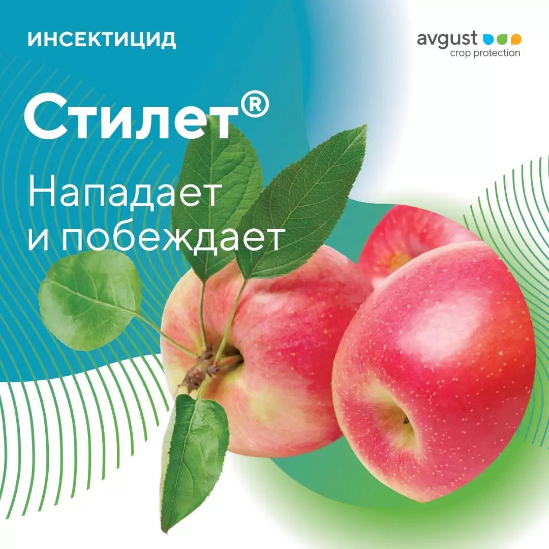 Стилет® — нападает и побеждает